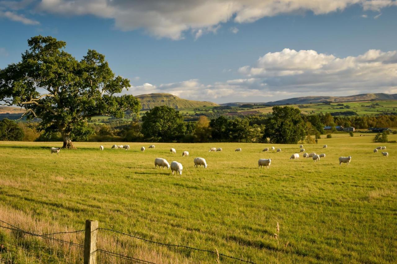 Arnprior Cardross Holiday Cottages מראה חיצוני תמונה