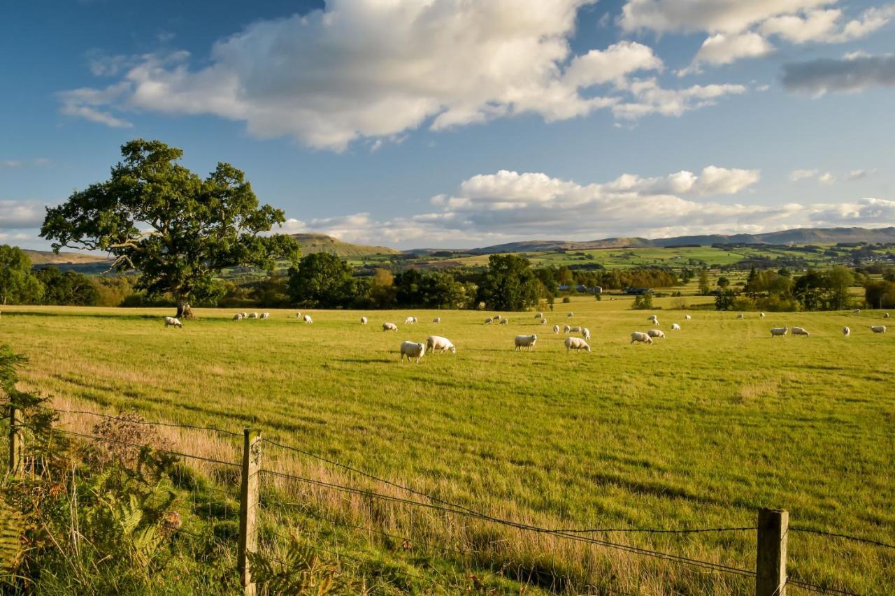 Arnprior Cardross Holiday Cottages מראה חיצוני תמונה